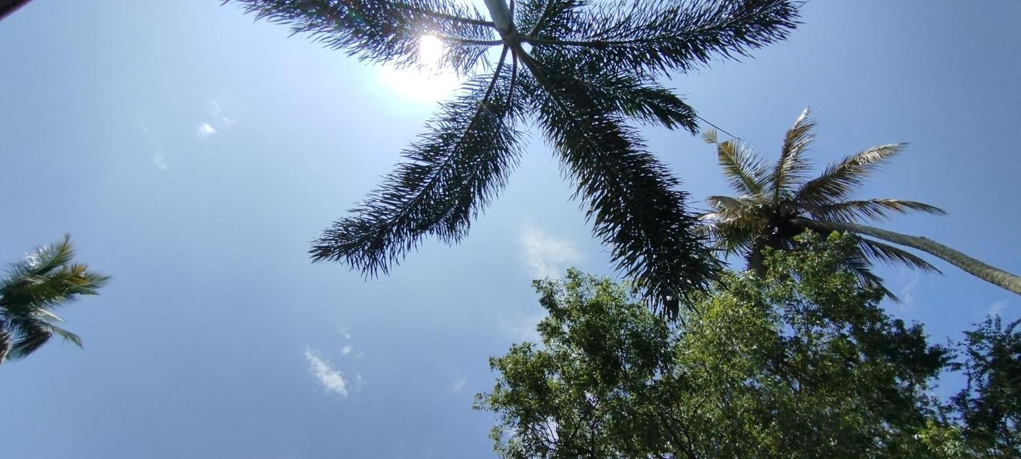 לינה וארוחת בוקר טנגלה Eco Nest Marakolliya מראה חיצוני תמונה